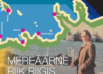 Mereäärne riik riigis