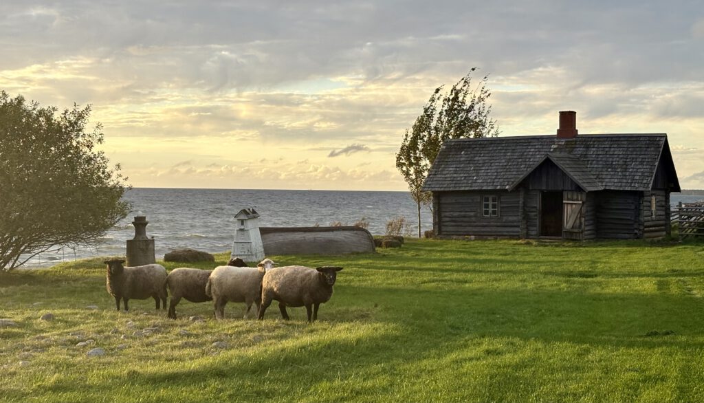 Viimsi vabaõhumusueum
